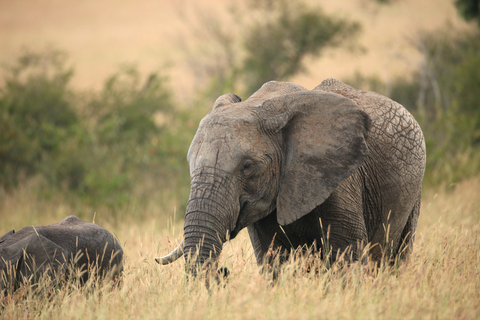 Tanzania